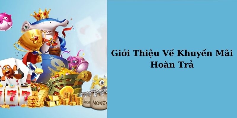 Hoàn trả cao nhất 3.0% dành cho tất cả thành viên trải nghiệm cá cược