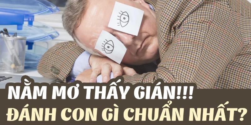 Chốt sổ một số cặp dễ trúng khi mơ thấy gián