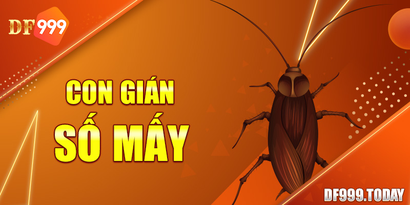 Con Gián Số Mấy - Giấc Mơ Về Con Gián Báo Hiệu Điều Gì?